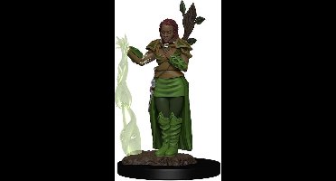 D&D Icons of the Realms Premium Figures: Human Female Druid (painted)