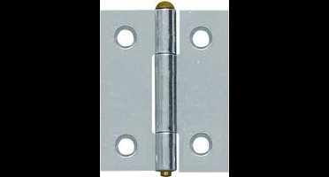 Ivana Smal Klepscharnier 60x45mm Messing Gepolijst Gezet Met Losse Pen