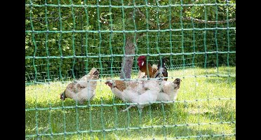 Ako Afrasteringsdraad Niet van toepassing