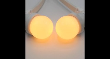 Lichtsnoer wit - 50 meter met 50 lampen - 1W LED melkwitte kap - kleur van kaarslicht (2000K)