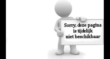 40 METALLIC BALLONS, silver