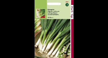 Hortitops Zaden - Stengel-Ui Ishikura (Allium Fistulosum)