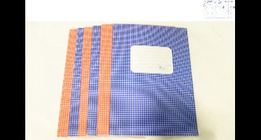 6 Schrijfschriften geruit Blauw en Rood
