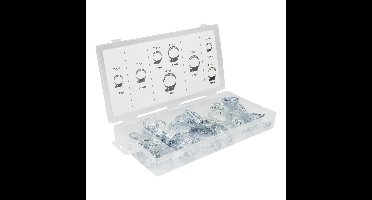 Benson Slangenklemmen Set 40 Delig – 8 Verschillende Formaten – Zilverkleurig