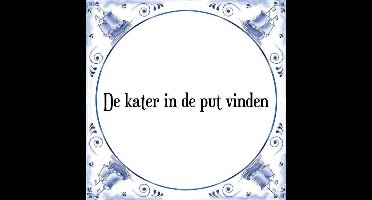 Tegeltje met Spreuk (Tegeltjeswijsheid): De kater in de put vinden + Kado verpakking & Plakhanger