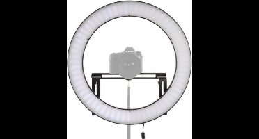 Falcon Eyes Bi-Color LED Ringlamp Dimbaar DVR-512DVC op 230V