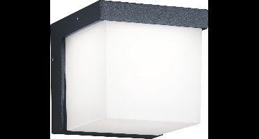 TRIO YANGTZE - Wandlamp - Antraciet - incl. 1x SMD 4,5W - Buitenverlichting - IP54