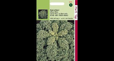 Hortitops Zaden - Boerenkool Vert Demi-Nain / Middelhoge Fijne Krul