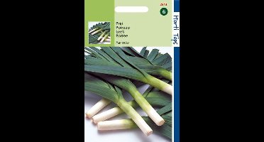 Hortitops Zaden - Prei Blauwgroene Winter Farinto