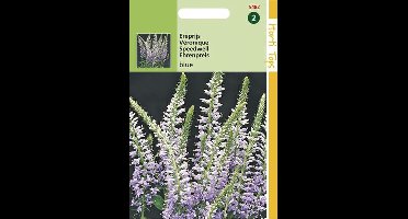 Hortitops Zaden - Veronica Spicata (Ereprijs) Blauw