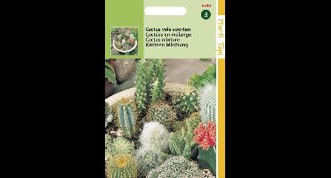 Hortitops Zaden - Cactus All-Round Mengsel