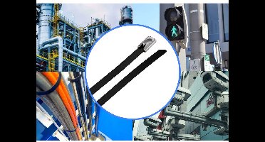 TRU COMPONENTS TC-12656596 Stalen kabelbinder 290 mm 4.6 mm AISI 316 Met coating 100 stuk(s)