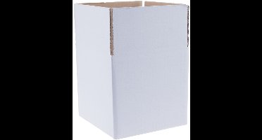 Kartonnen dozen enkelegolf 302 x 220 x 300 mm wit | 30 stuks