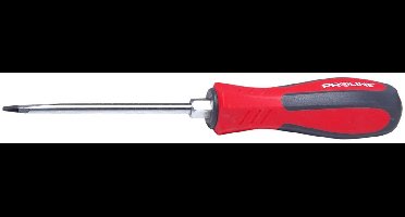 Proline Klopklop Schroevendraaier PH2 x 100 mm CRV