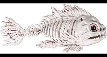 Skelet piranha decoratie
