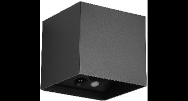 REALITY GENIE - Wandlamp - Zwart mat - incl. 2x SMD 1 W - Bewegingssensor - USB-aansluiting - Verlichting omhoog en omlaag - Wandmontage - Oplaadbaar - RL NOW - Buitenverlichting - IP44