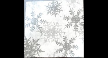 Set van 20 papieren kerstservetten met zilveren sneeuwvlokken – 33 x 33 cm