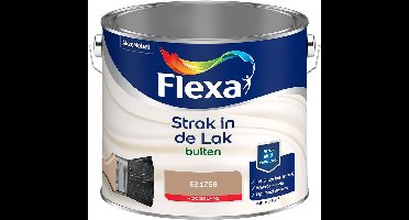 Flexa - Strak in de Lak Buitenlak Hoogglans - E2.17.58 - Mengverf - 2.5 L