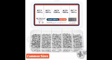 500-delige M2 Zelftappende Schroeven Set – Kruiskop Platte Kop – 5 Maten (4/5/6/8/10 mm) – Staal – Hout en Metaal – Opbergdoos inbegrepen