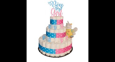 Pampertaart Gender Reveal - It's a Boy or Girl