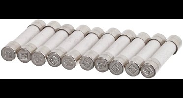 Bosch Zekering Keramisch 6x32, 10 Ampere Flink HF22534, HMT9850 00152386