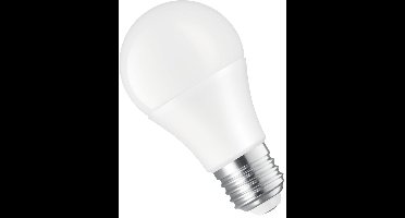 Spectrum LED Lamp E27 8.5W - 24V - 900 Lumen - 6000K Koud wit - Helder daglicht - Energiezuinig