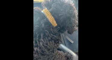 Power Escorts - Super de Luxe - Gouden steentjes Halsband voor Honden - Nep natuurlijk maar super gaaf - glitter & glamour - must voor iedere stijlvolle design hond - paraderen maar