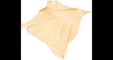 HP Autozubehör 10059 Zeem schapenleer chamois 59 x 38 cm 1 stuk(s) (l x b) 590 mm x 380 mm