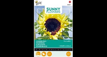 Buzzy® Sunny Flowers, Zonnebloem Moonwalker