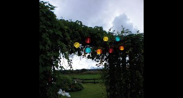 RTM Lighting Solar Feestverlichting 270cm met 10 lampjes -Koel Wit -Tuinverlichting