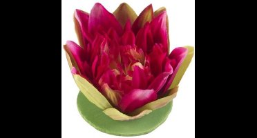 Velda Vijver Vijvertechniek Drijvende Vijverplant Lotus Fuchsia 13Cm