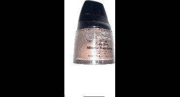 Revlon Colorstay Foundation Powder met Kwast 040 Light Medium
