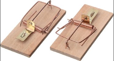 Klassieke muizenval (2 stuks)