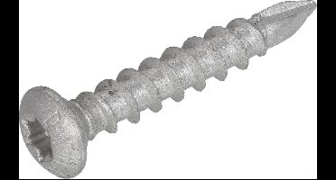 Dynaplus - Paalhouderschroef - Torx 40 - 8 x 50mm - AR-Coating (50 stuks)