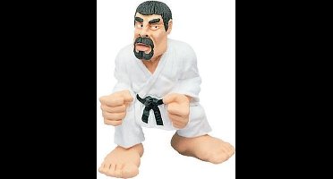 Antartidee - beeldje - karate - karateka - Italiaans - Design