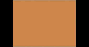 Fotokarton Folia reebruin - A4 300gr pak 50 vel