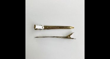 Hobby & Crafting Fun Metal hairclip - Zilveren clip voor haar - 9 cm