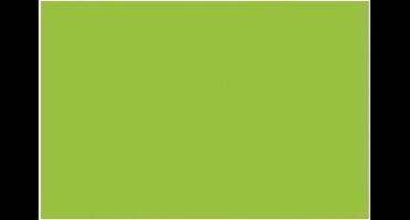 Etalagekarton Folia fluorgroen - 48x68cm 380gr pak 10 vel