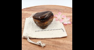 Edel-gedenk-steen Tijgeroog