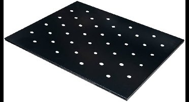 Mega-M Legbord voor 19 inch RACK-kast - 1U - 48,5 x 50 cm - Zwart - Geperforeerd - Voor 800 mm Diepe Kasten - Universele Plank