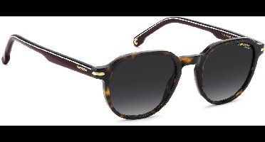 Carrera Zonnebril CARRERA 376/S Volwassenen Bruin