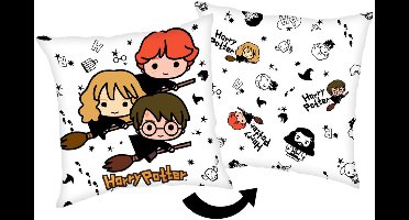 Harry Potter Kussen