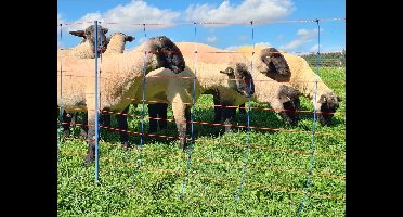 Reserve dubbele puntstijl Ako