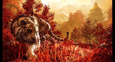 Far Cry 4 PS4 (Franse doos ) ENG Ingame