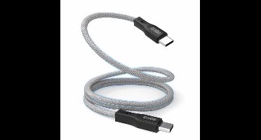 SGS USB-C naar USB-C-kabel 100W 1 meter zilver STPCTPC1MTSL
