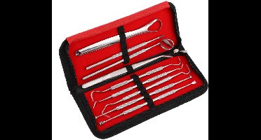 Tandverzorgingsset - 9 stuks met koffer