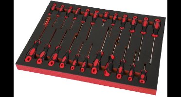 23 Delige Schroevendraaierset in Carbon Foam inlay voor Gereedschapswagen