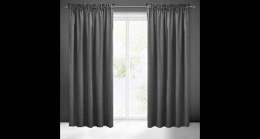 Pierre Cardin Sibel - Gordijn - 140x270 cm - Stalen Velours - Klaar op Band