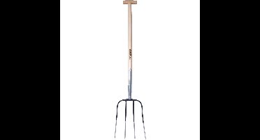 Hendrik Jan mestvork 4 tands