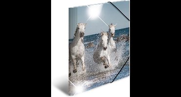 HERMA 19329 map Polypropyleen (PP) Multi kleuren A4